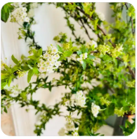 欢迎使用Z-BlogPHP！