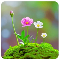 欢迎使用Z-BlogPHP！